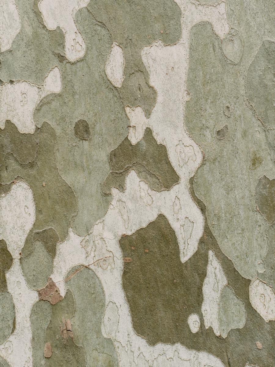 Der Plan – Camouflage is the new&nbsp;Black