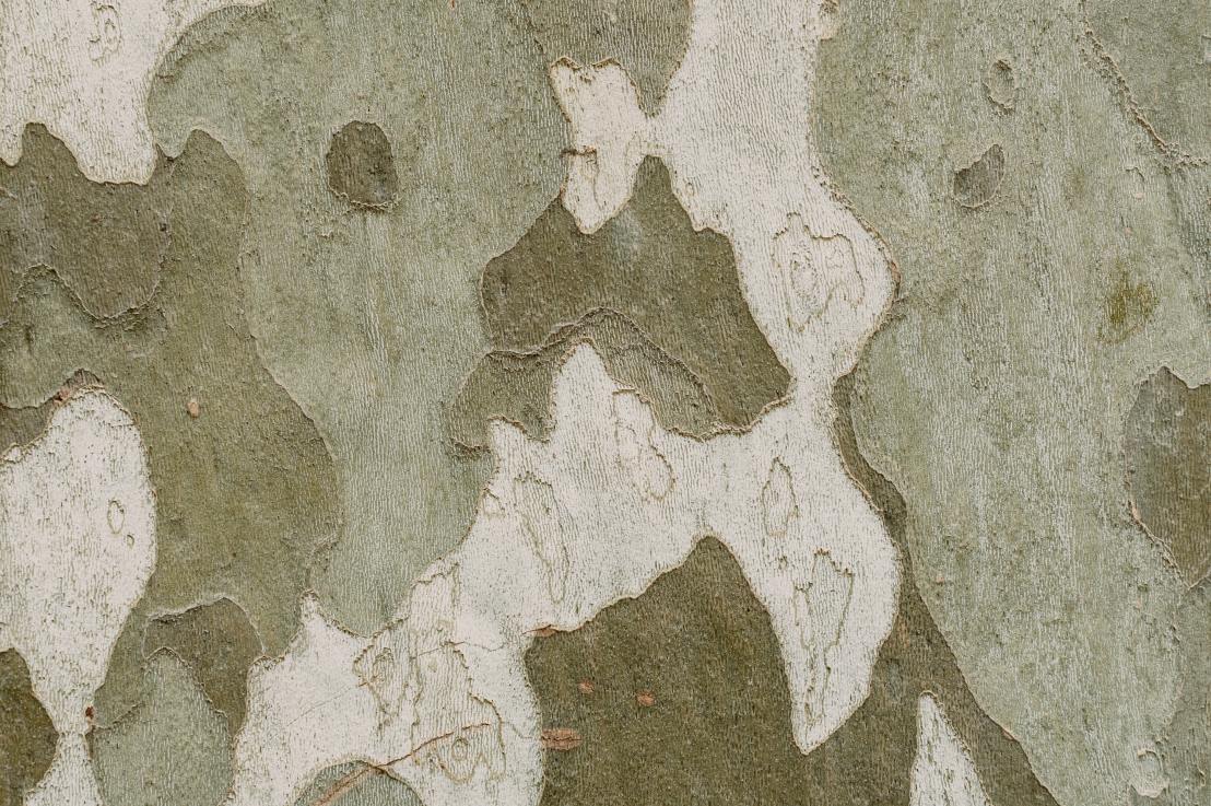 Der Plan – Camouflage is the new&nbsp;Black